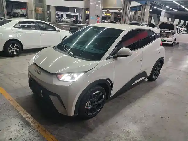 BYD SEAGULL 2025