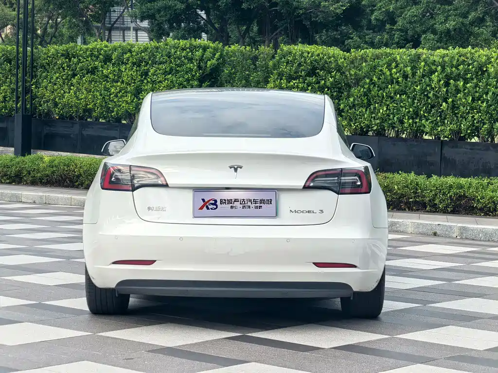 Tesla Model 3 2021 3D6