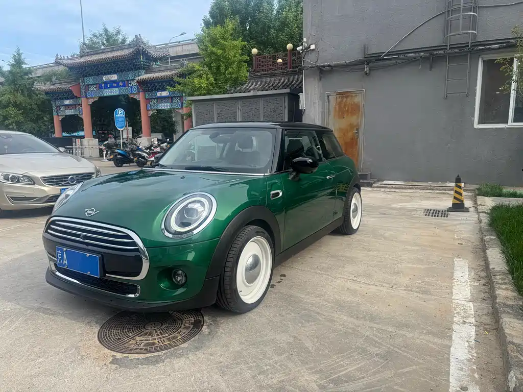 Mini Mini 2020