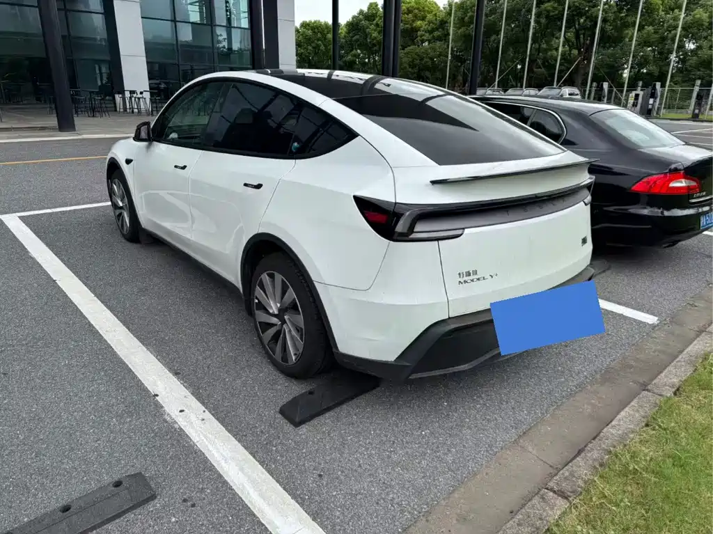 Tesla Model Y — миниатюра 6