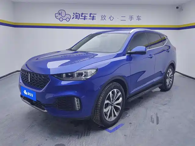 WEI PAI WEI BRAND VV6 2019