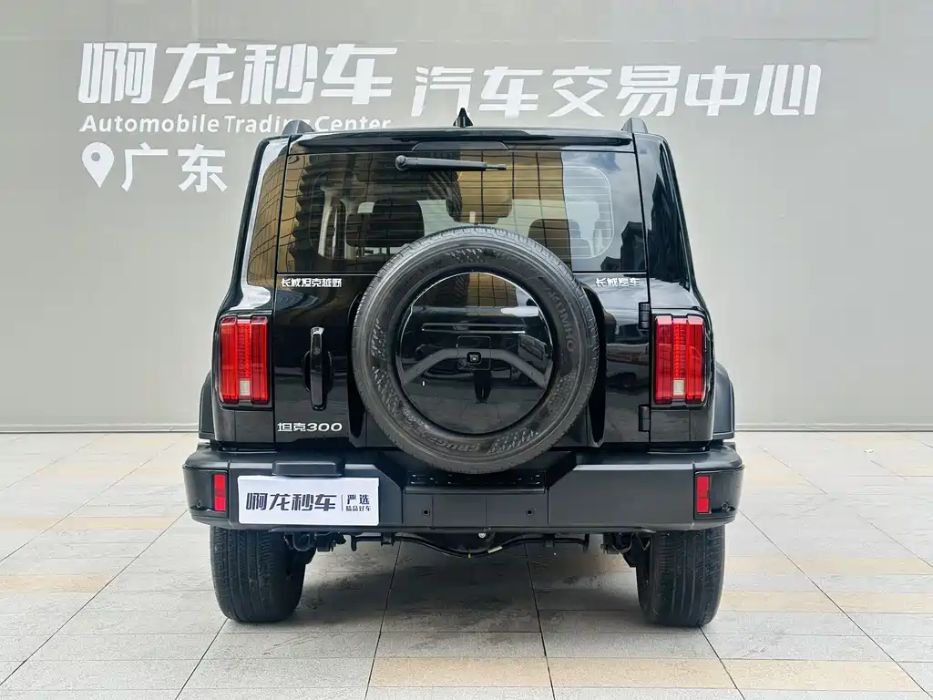 Tank 300 2024 2.0T