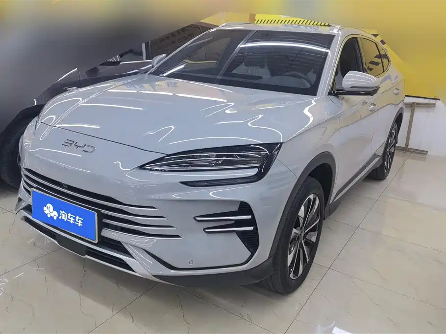 Byd PLUS New Energy 2025