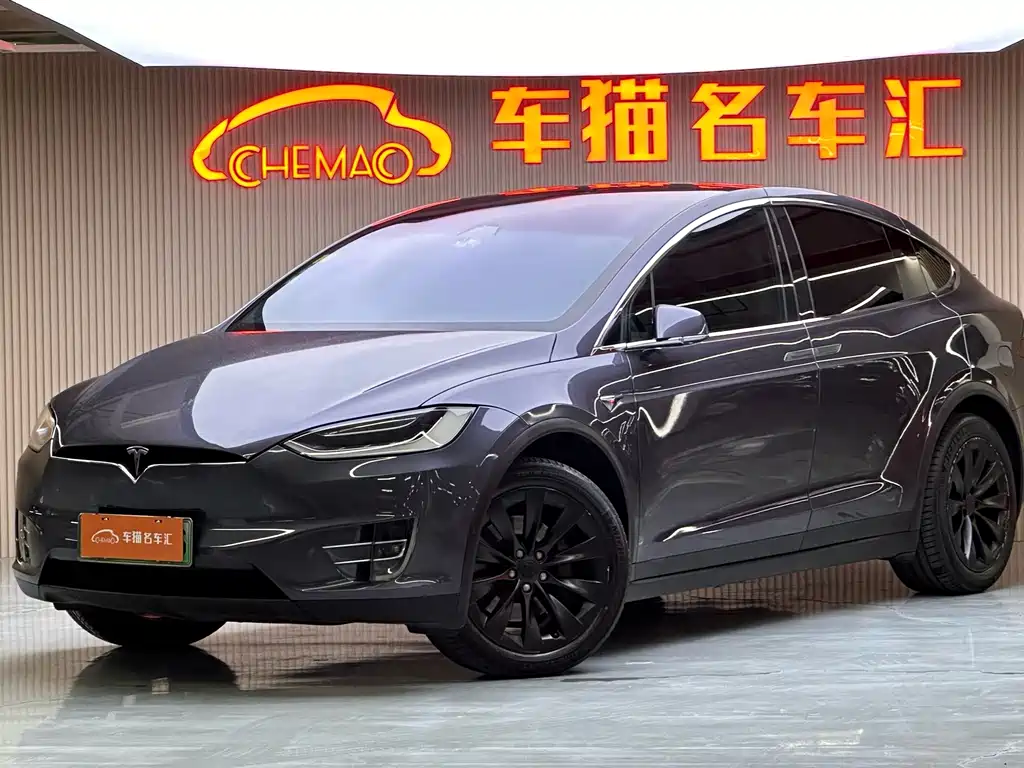 Tesla Model X — миниатюра 2
