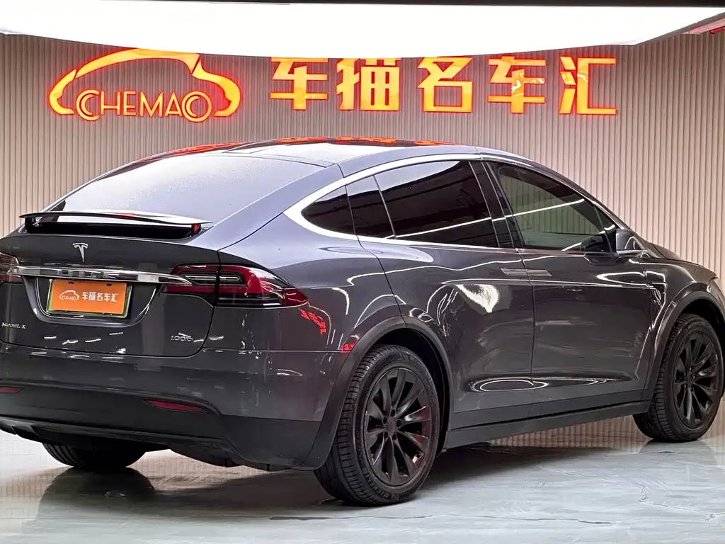 Tesla Model X — миниатюра 25