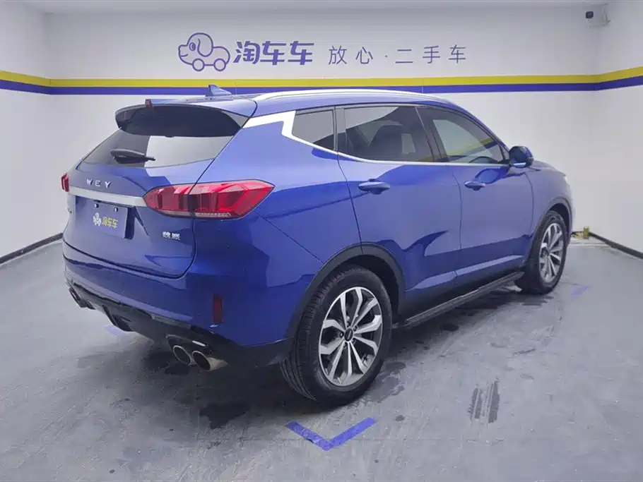 WEI PAI WEI BRAND VV6