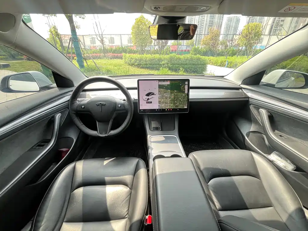 Tesla Model 3 2021 3D6