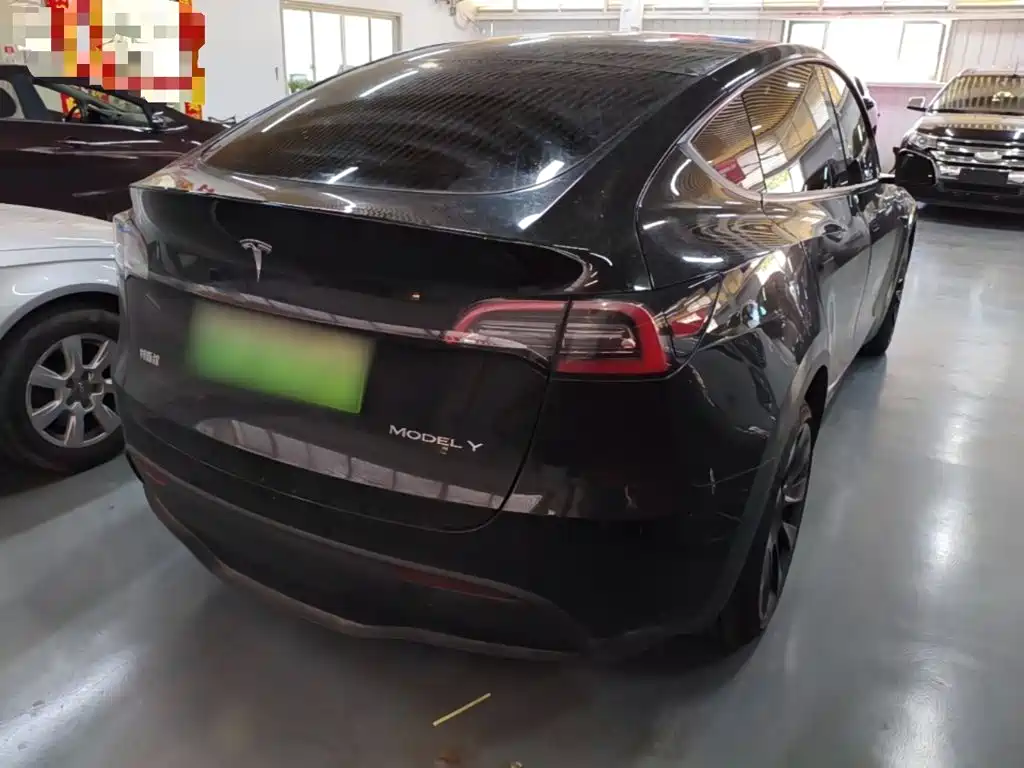 Tesla Model Y — миниатюра 7
