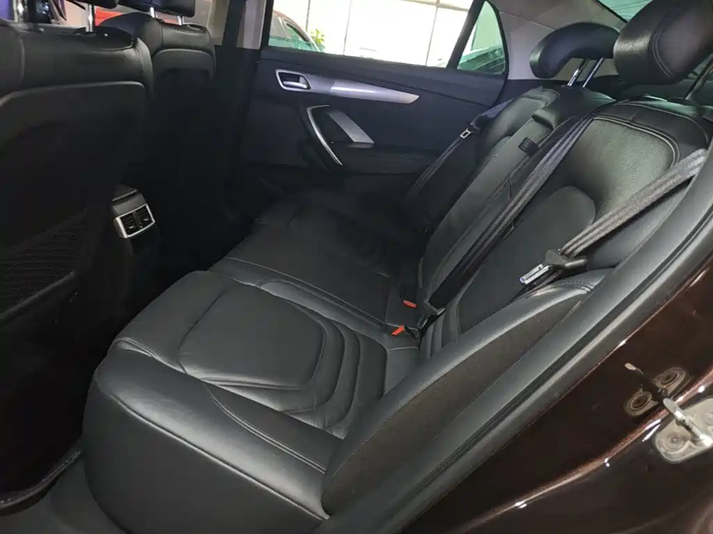 DS DS 5LS — миниатюра 17