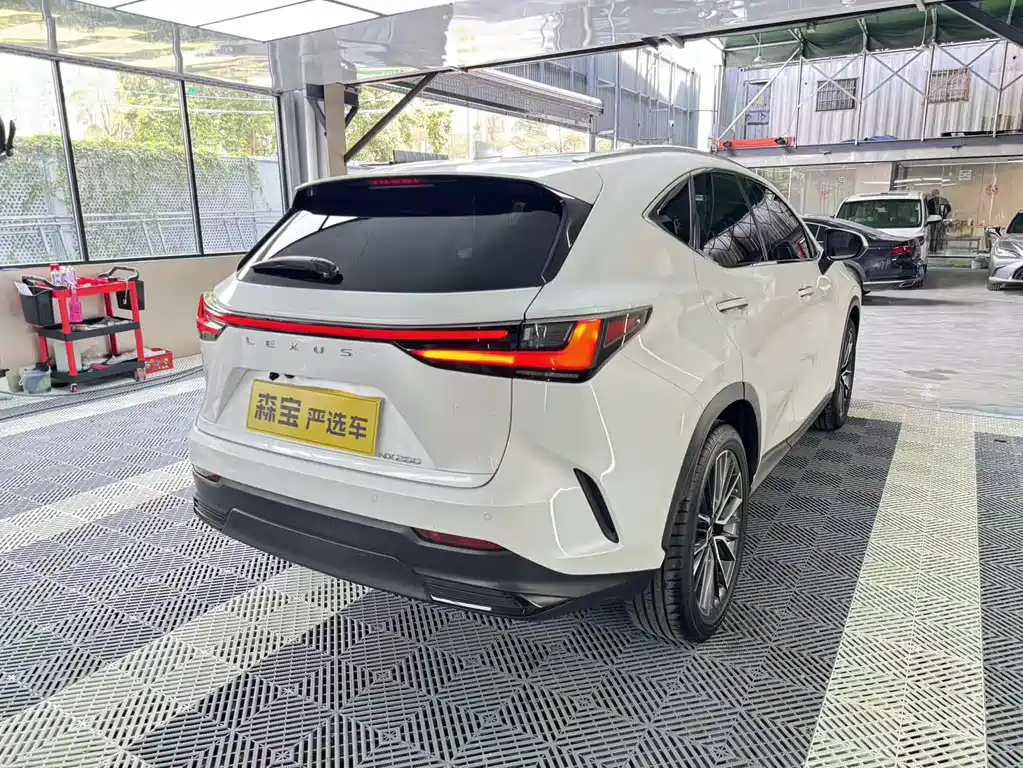 LEXUS NX