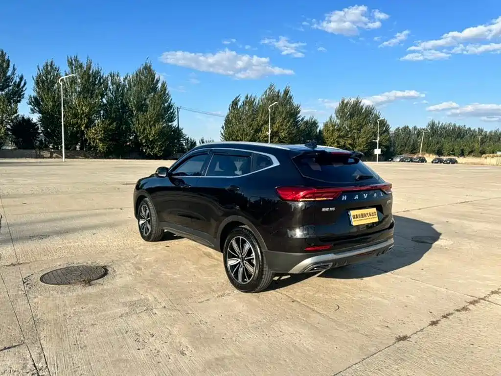 Haval H6 — миниатюра 6
