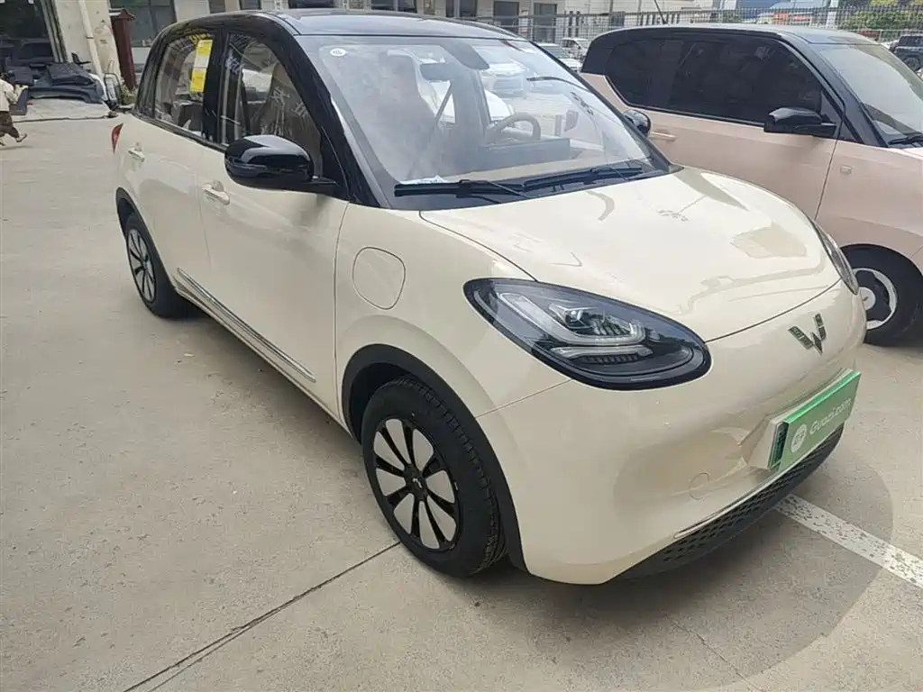 Wuling Binguo 2025 333km Enjoy