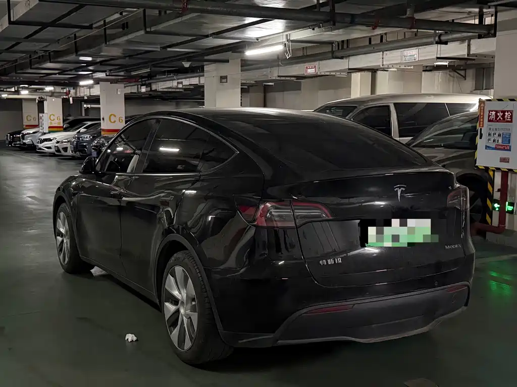 Tesla Model Y — миниатюра 7