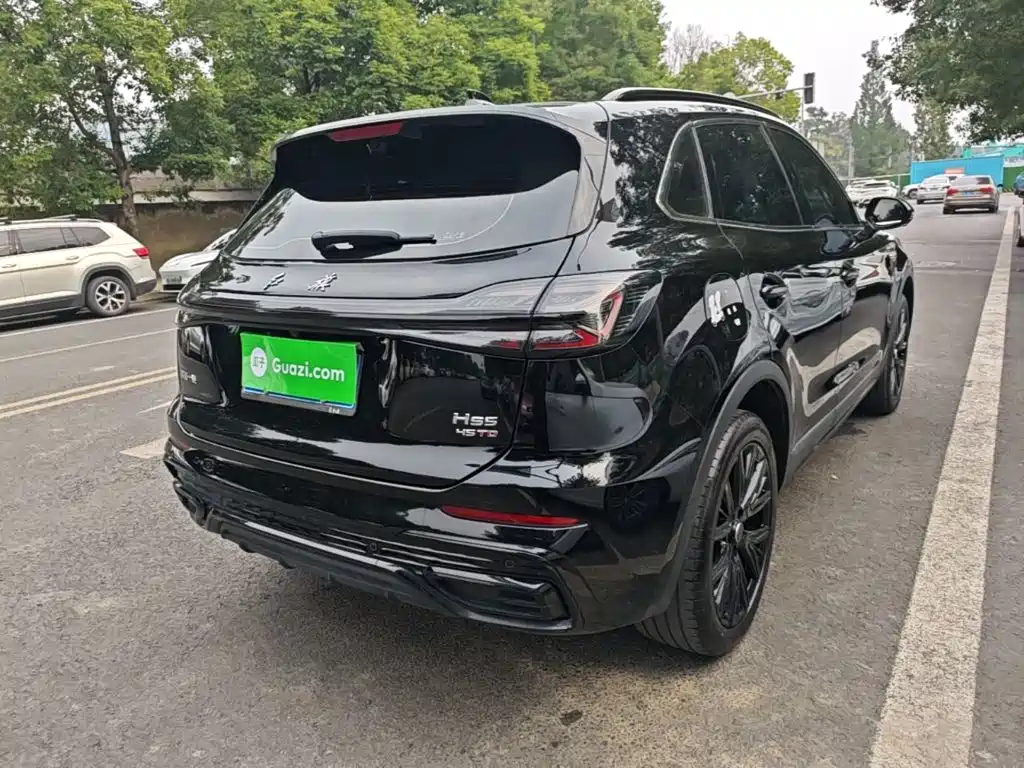 Hongqi Hongqi HS5 — миниатюра 7