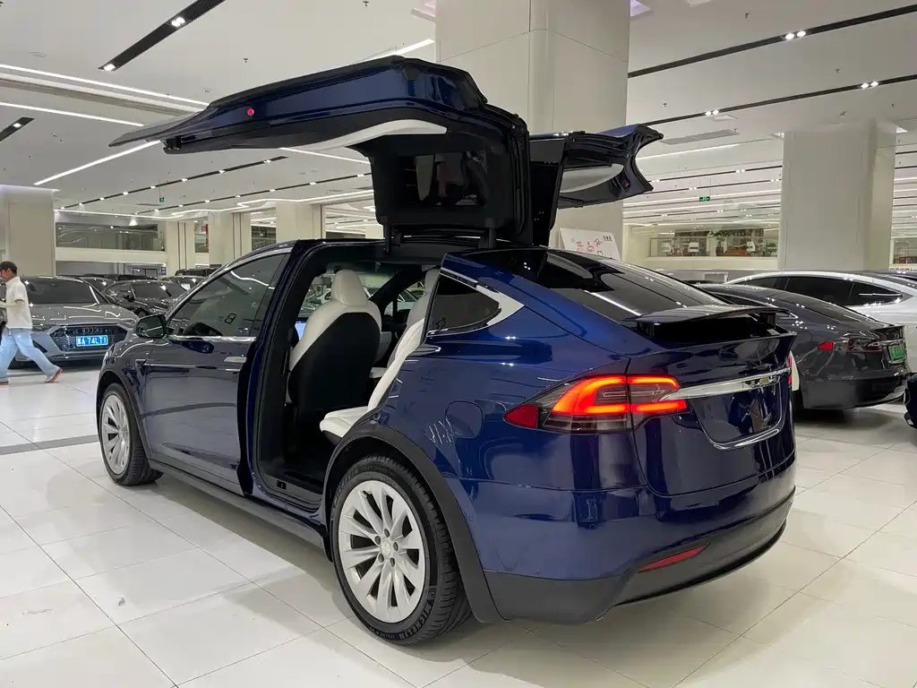 Tesla Model X — миниатюра 4