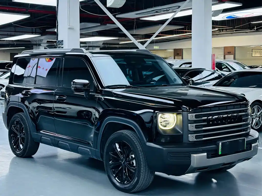 Haval Menglong New Energy — миниатюра 3