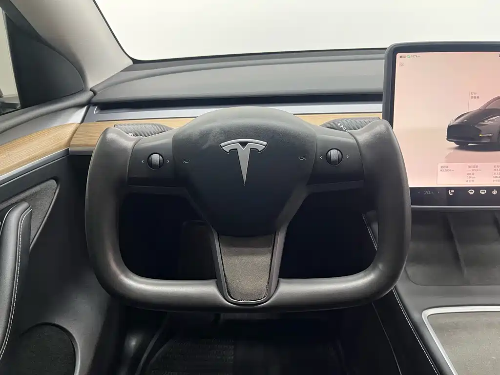 Tesla Model Y — миниатюра 7