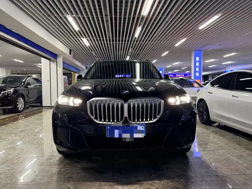 BMW X5 — миниатюра 2