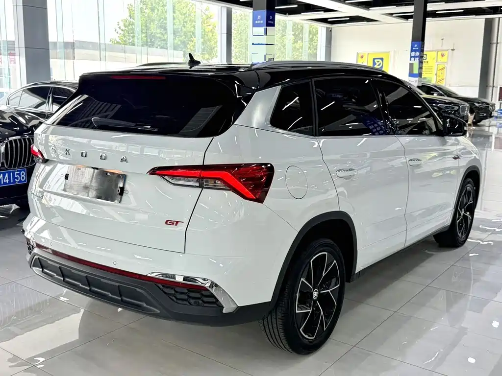 Skoda Kamiq — миниатюра 11