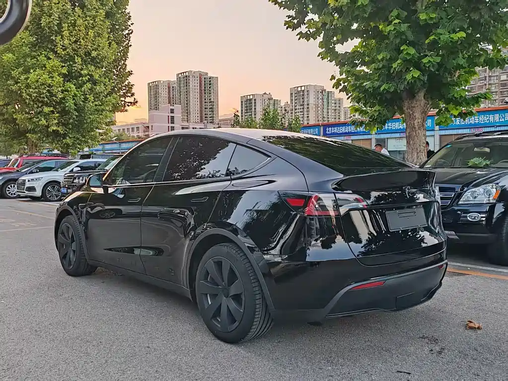 Tesla Model Y — миниатюра 6