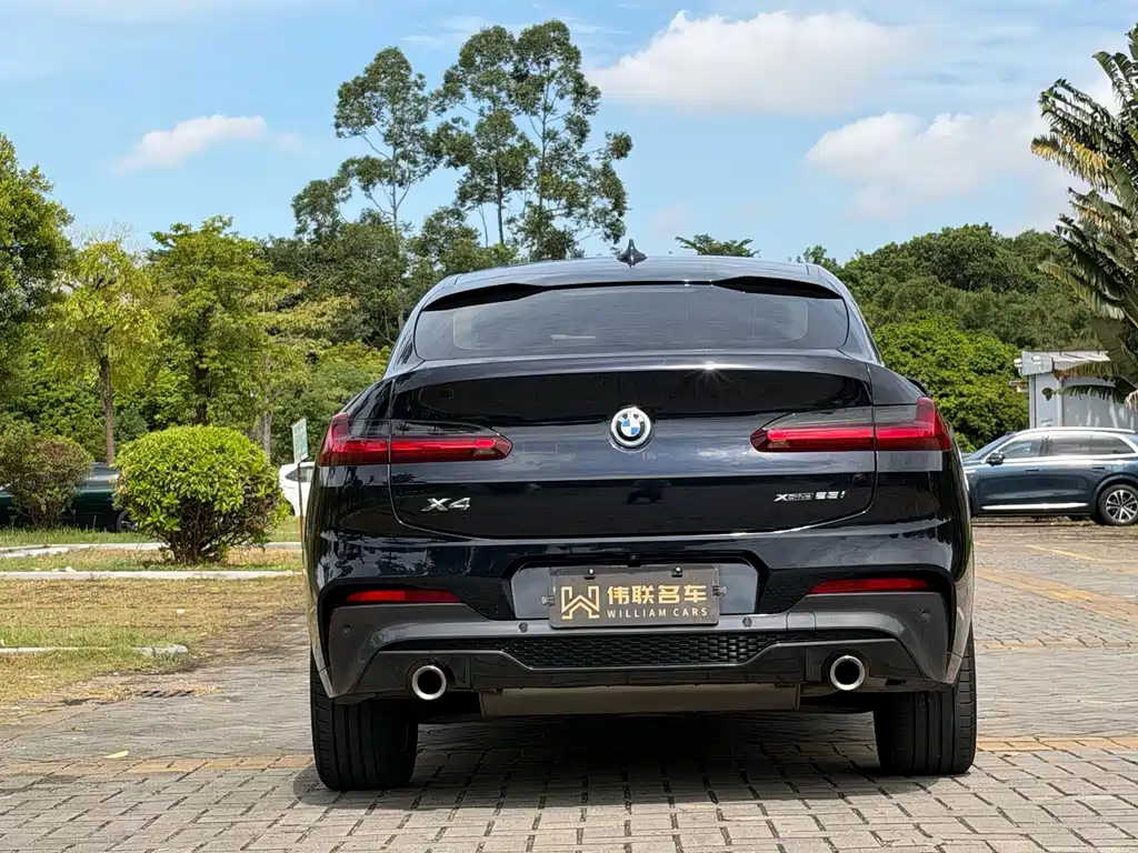BMW X4 — миниатюра 5