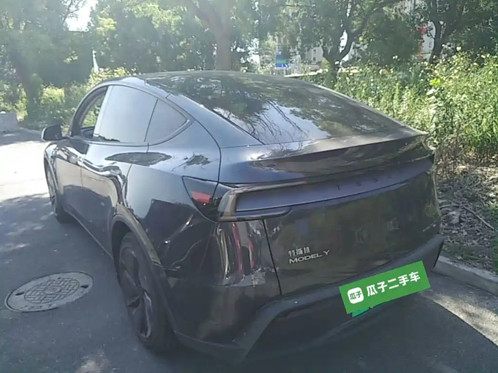 Tesla Model Y — миниатюра 5