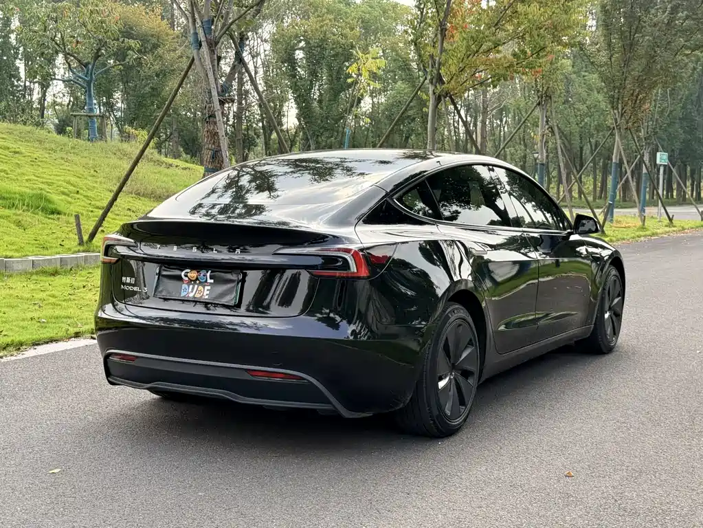 Tesla Model 3 — миниатюра 3