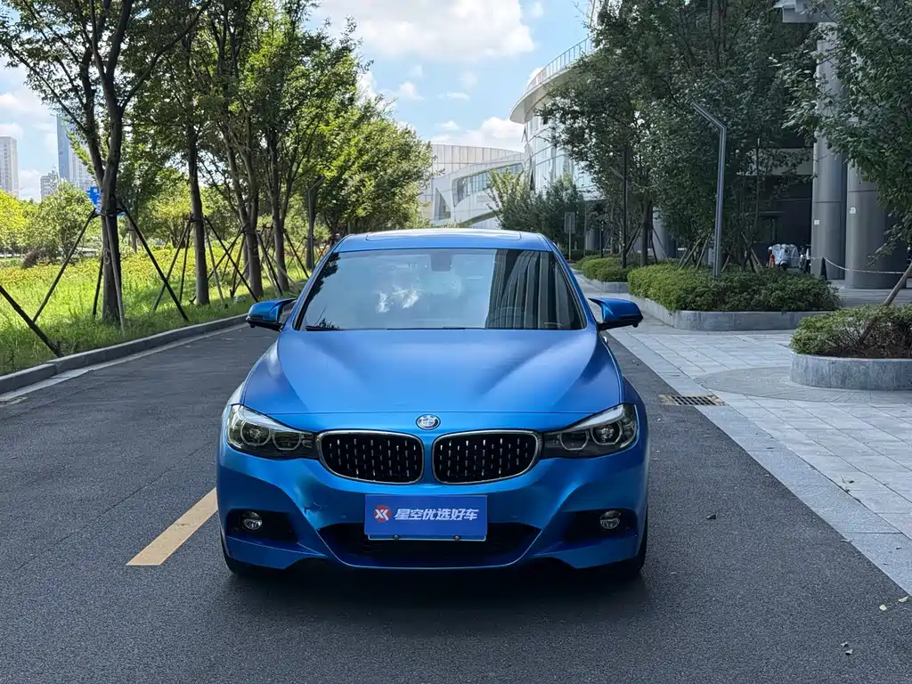 BMW 3 Series GT 320i M Sport Type, фото 2