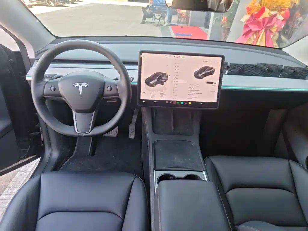 Tesla Model Y — миниатюра 10