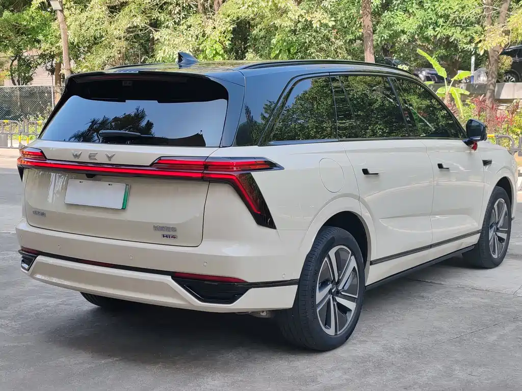 WEI PAI WEI BRAND BLUE MOUNTAIN