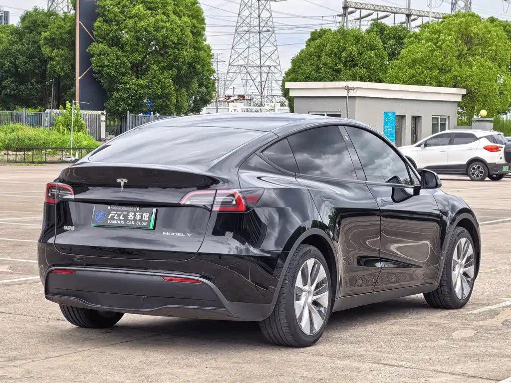Tesla Model Y — миниатюра 5