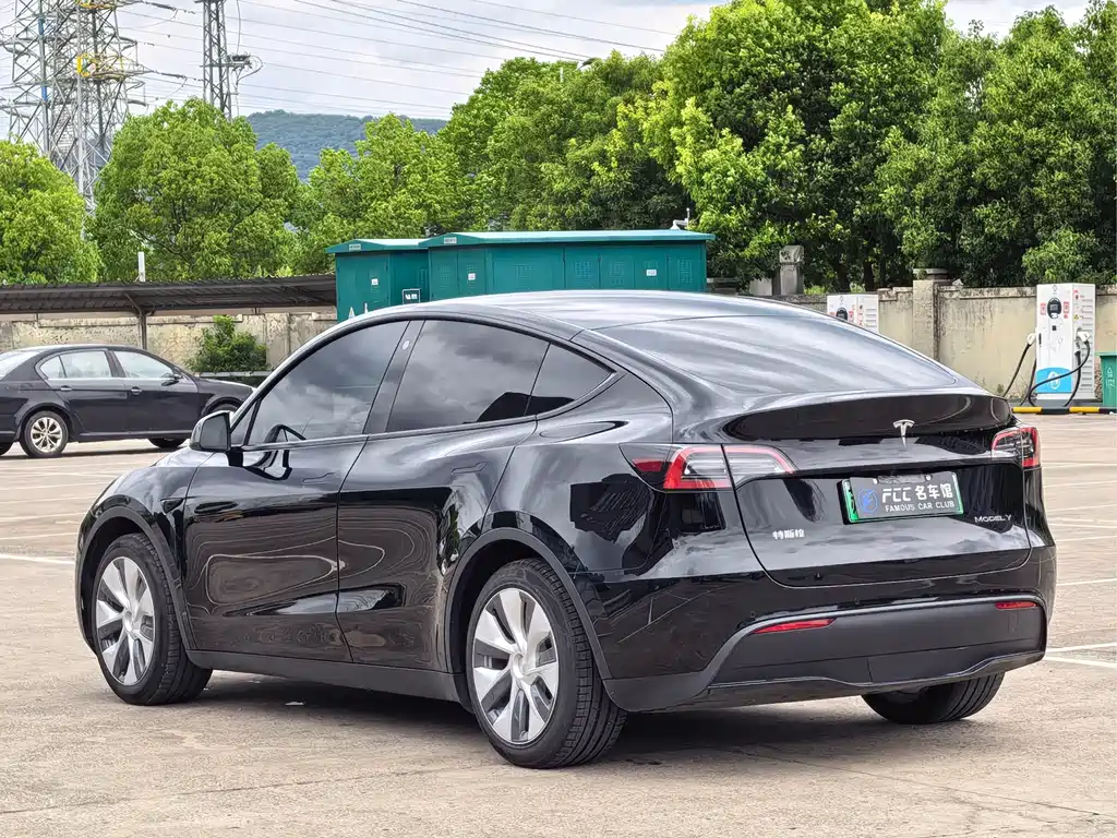 Tesla Model Y — миниатюра 6