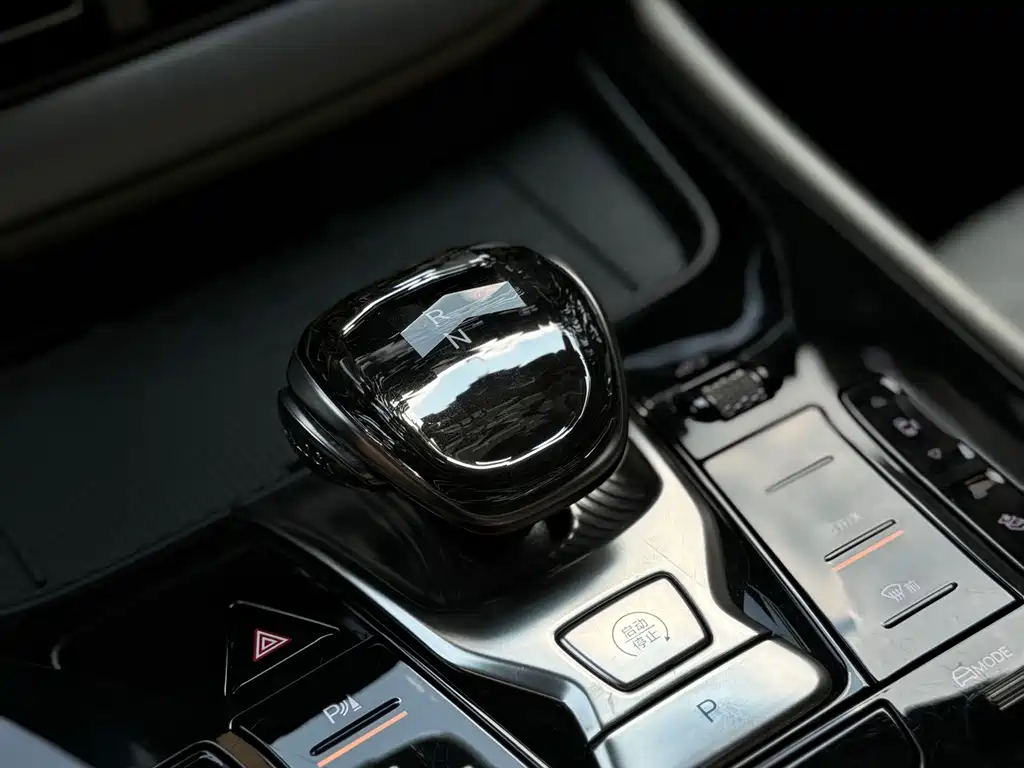 Denza Denza D9 — миниатюра 7