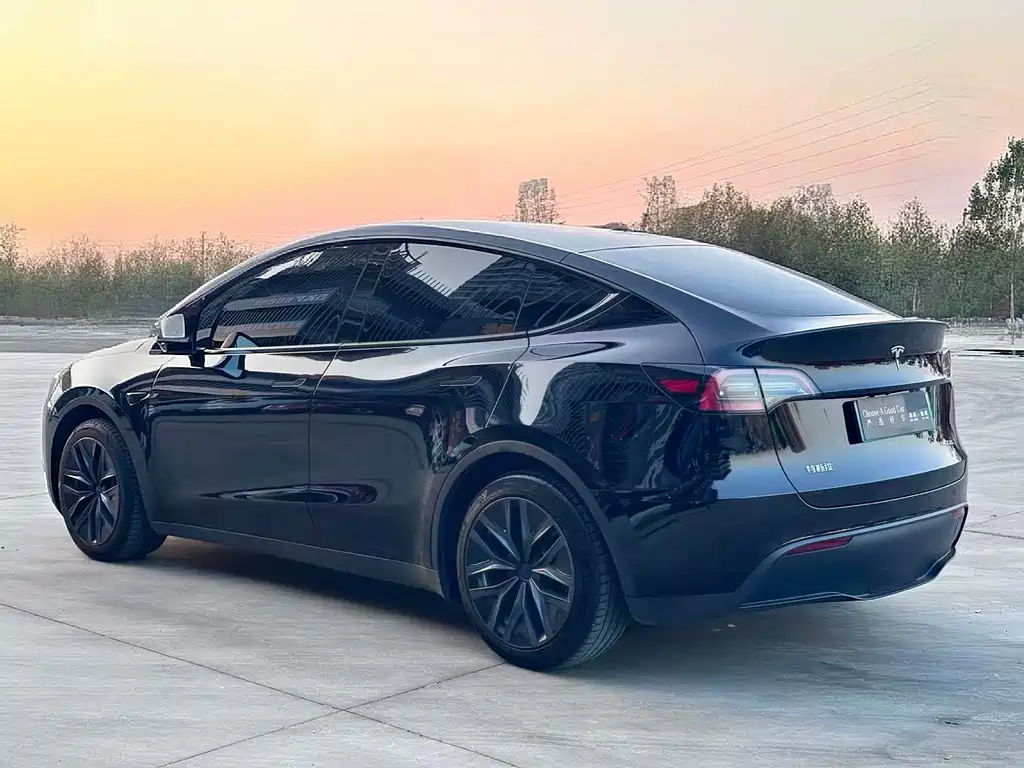 Tesla Model Y — миниатюра 4