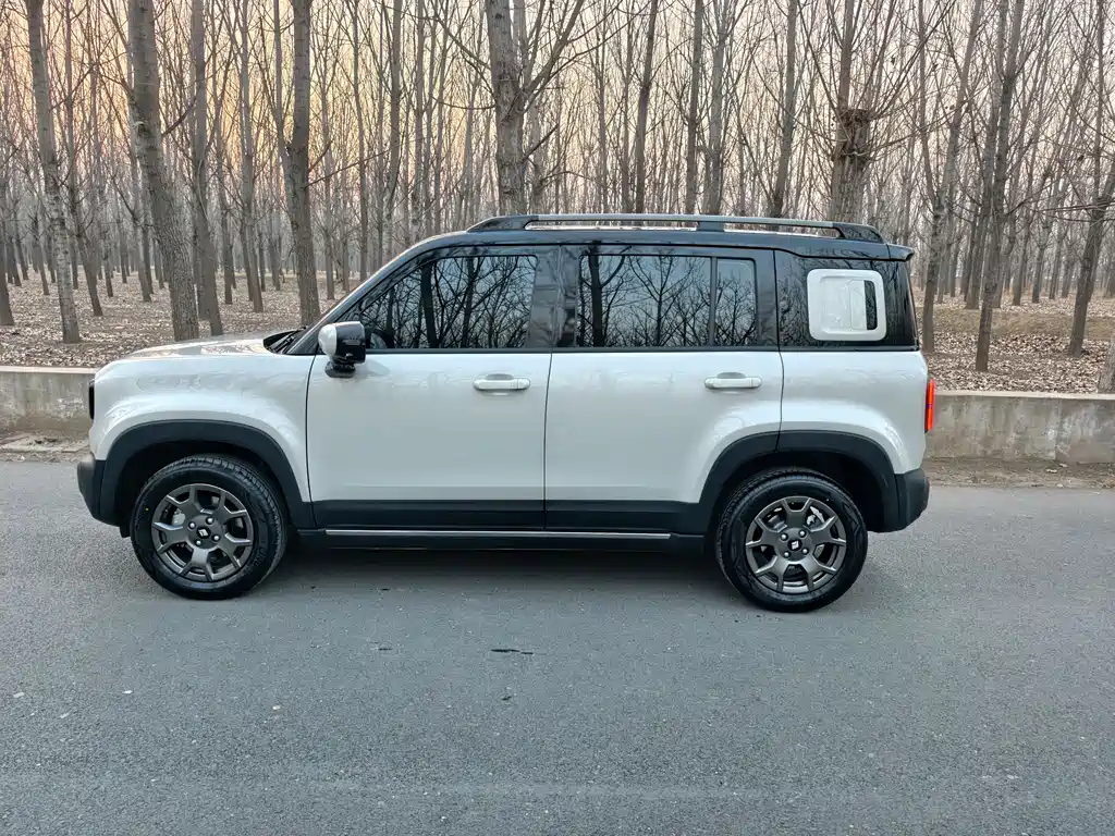 BAOJUN YUE ALSO PLUS