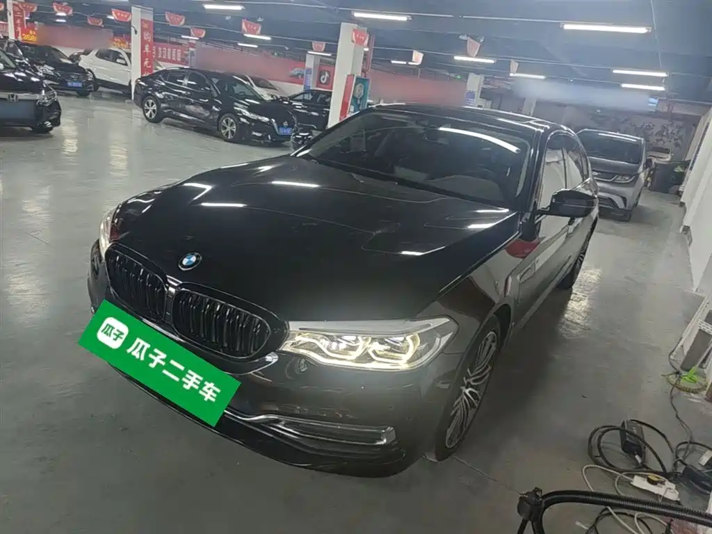 BMW 5 Series New Energy 2020