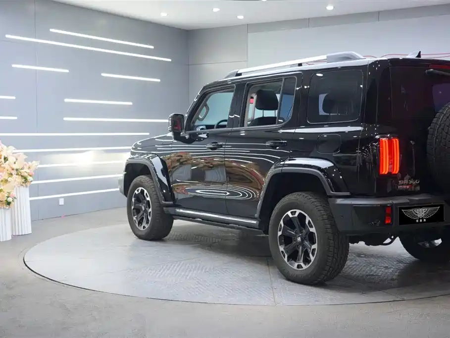 TANK TANK 300 NEW ENERGY