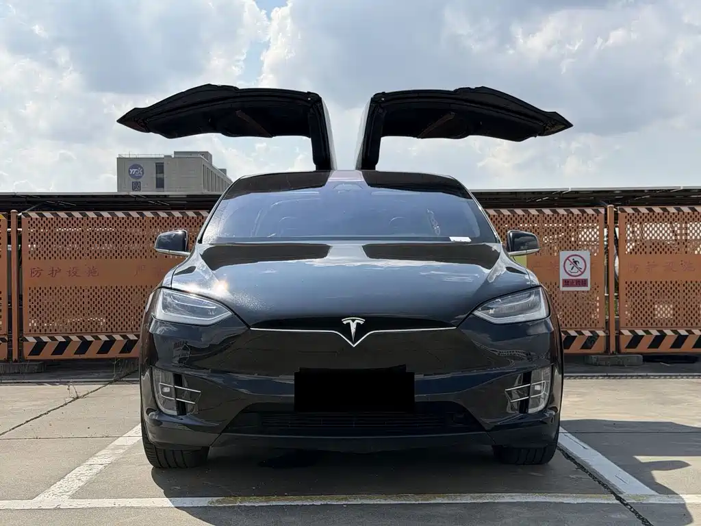 Tesla Model X — миниатюра 16