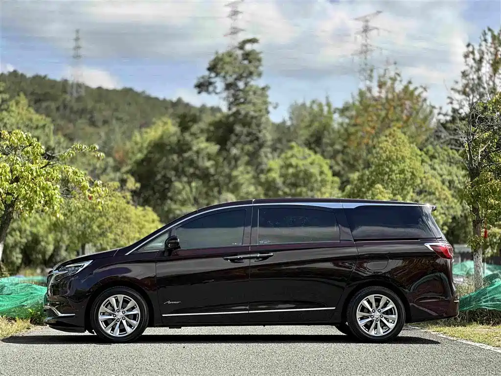 Buick GL8 — миниатюра 12