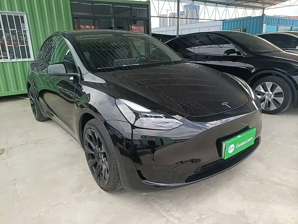 Tesla Model Y — миниатюра 4