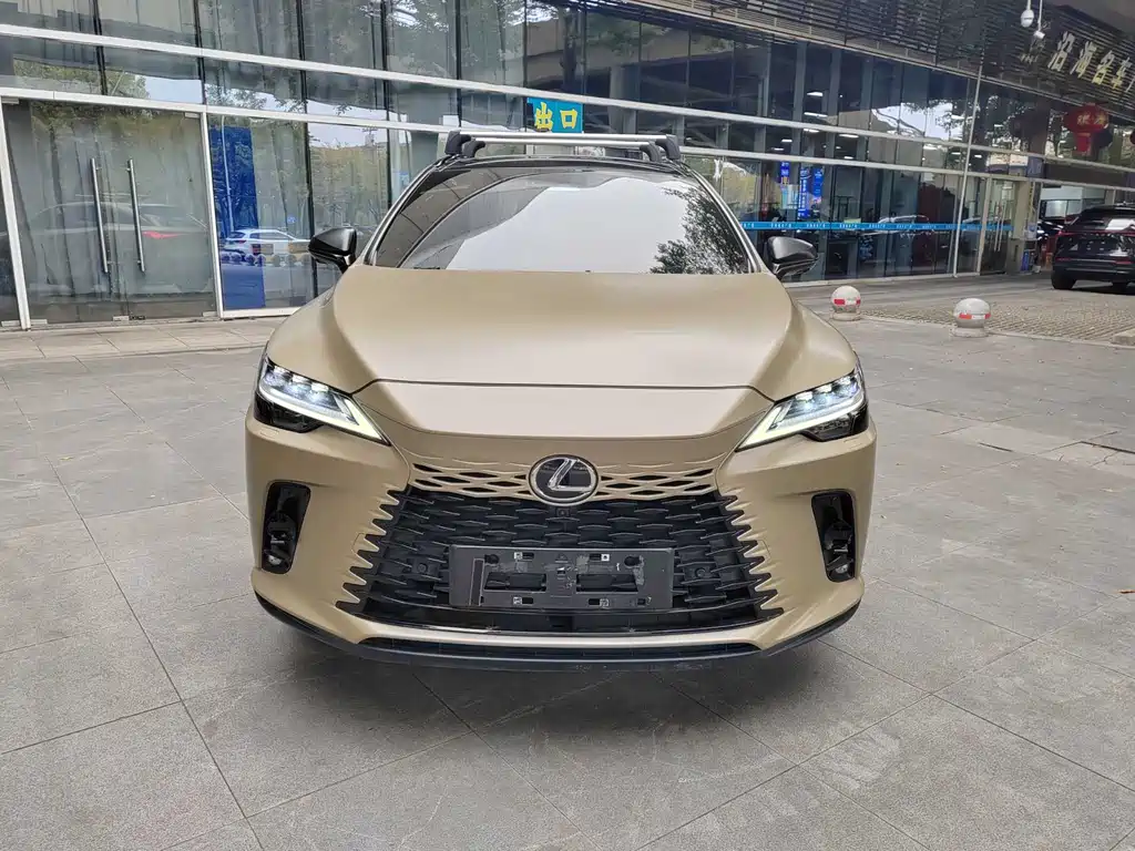 LEXUS RX NEW ENERGY