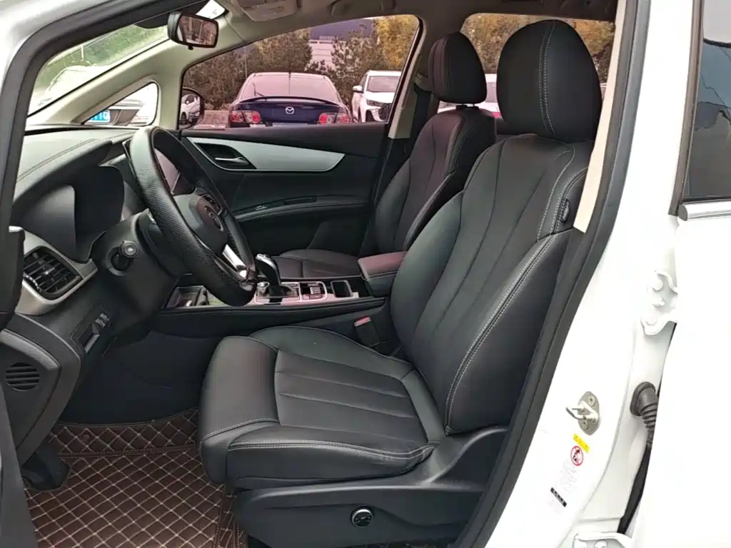 BYD MAX — миниатюра 15
