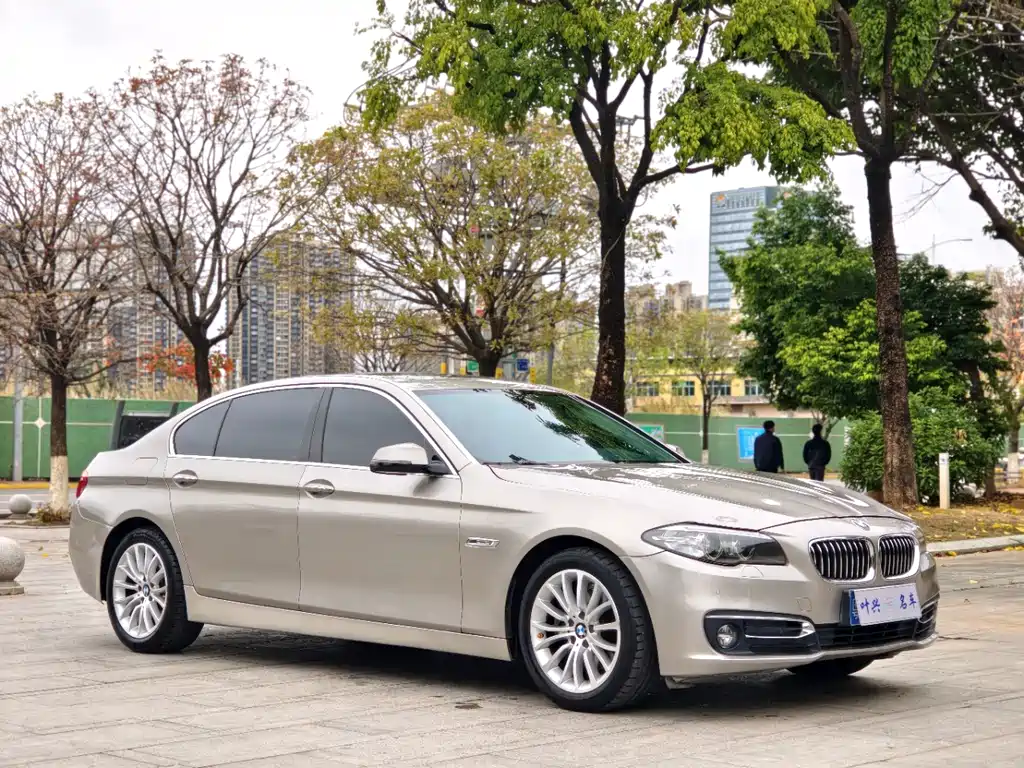 BMW 5 Series 5 2017 525Li Luxury
