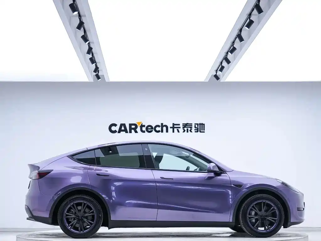 Tesla Model Y — миниатюра 3