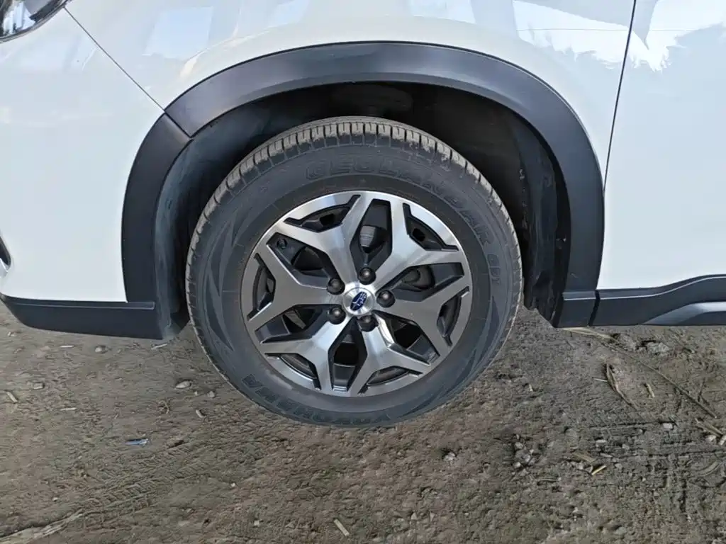 Subaru Forester — миниатюра 23