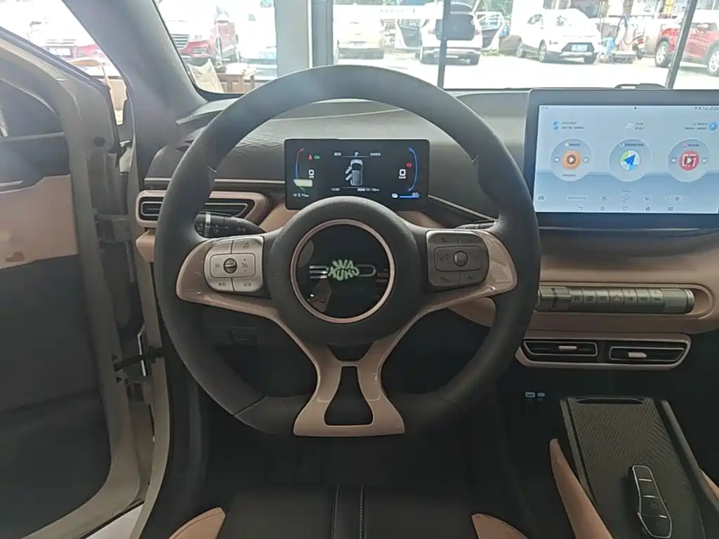 BYD Seagull 2025 305km
