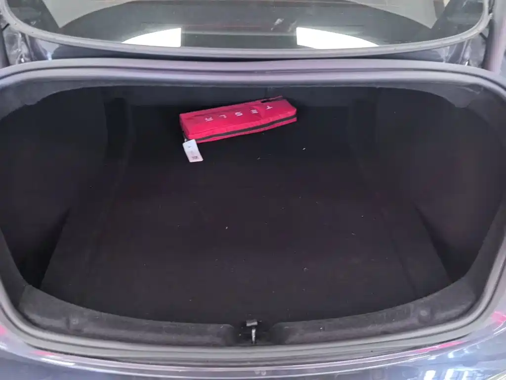 Tesla Model 3 — миниатюра 19