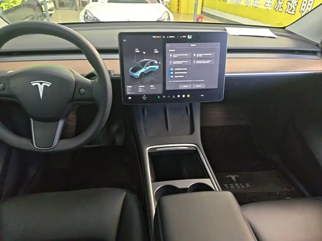Tesla Model Y — миниатюра 13