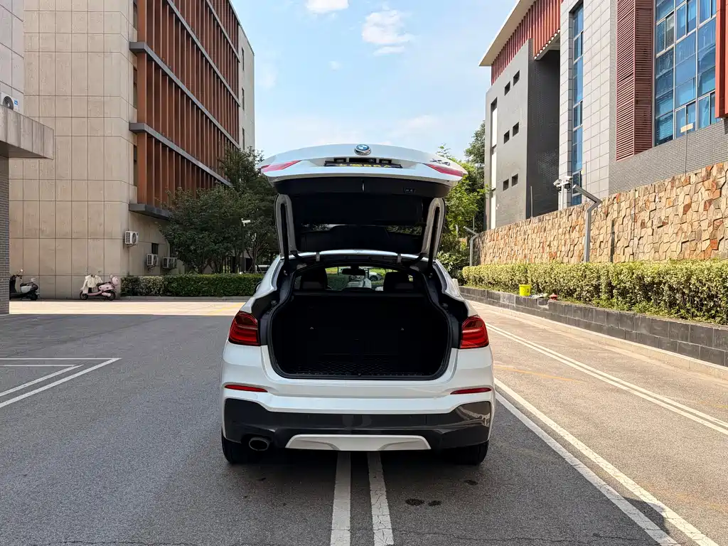 BMW X4 — миниатюра 4
