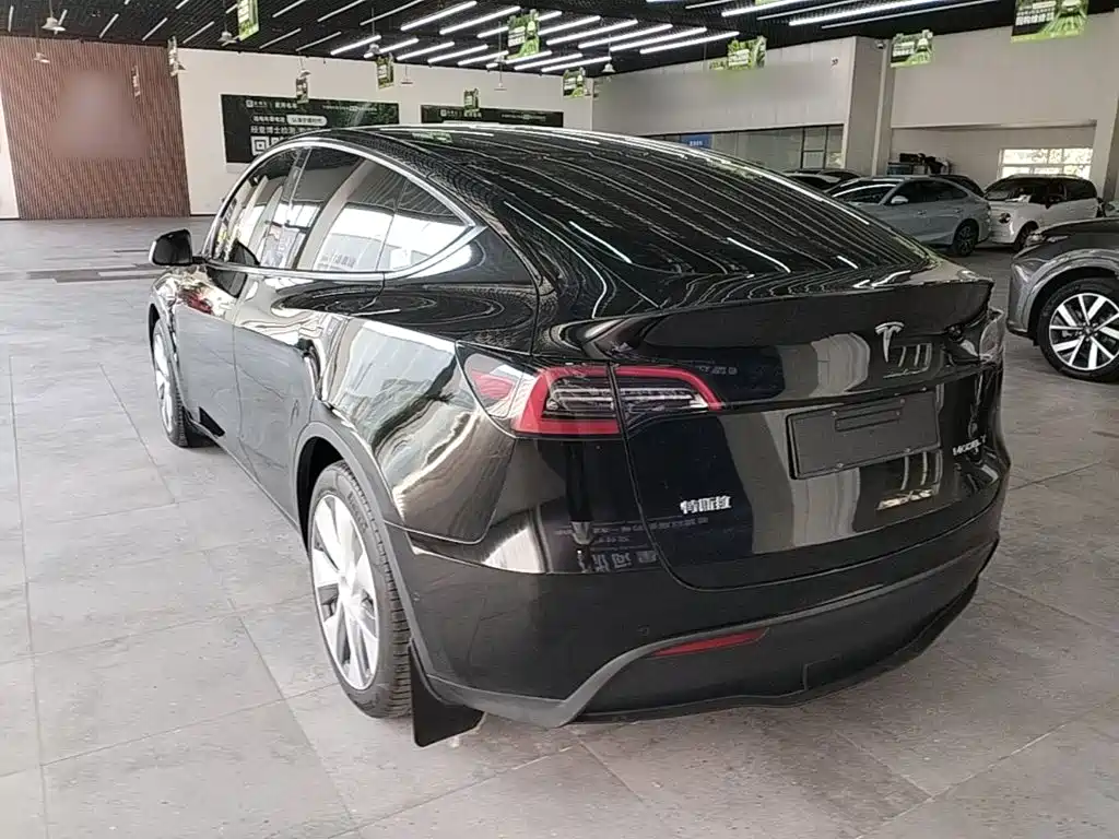 Tesla Model Y — миниатюра 5